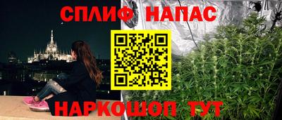 спиды Братск