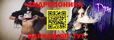 скорость Боровичи