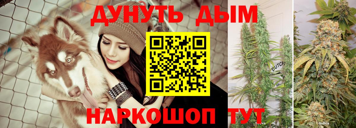 Марихуана White Widow Боровичи